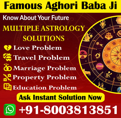 World Famous Baba Ji +91-8003813851